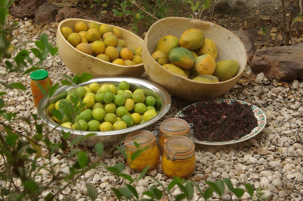 Bed And Breakfast Keur Niaye Toubakouta Esterno foto